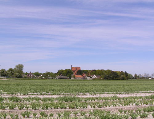 uitzicht op de abdij van Egmond
