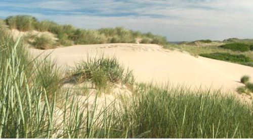 foto noordhollands duinreservaat