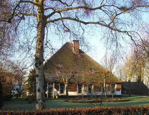 Limmen.westerweg.bloei.ommetje1