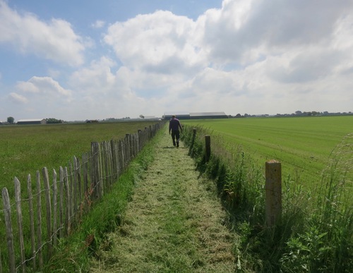 graspad tussen Eenigenburg en Sint Maarten