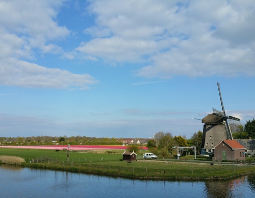 Westermolen Nieuwe Niedorp