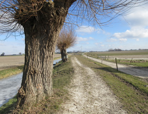 Startpunt Spierdijk foto