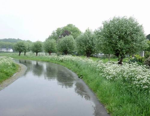 SP Westwoud rode route