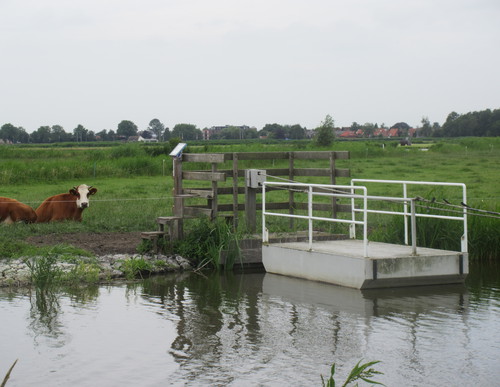 Pontjesroute paars oosthuizen