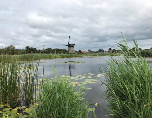 SP Alkmaar Noord Station