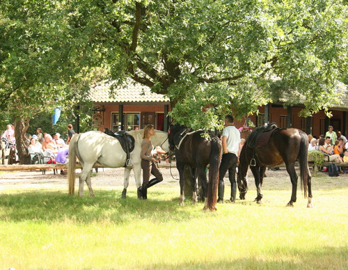 foto startpunt Theehuis 't Bluk