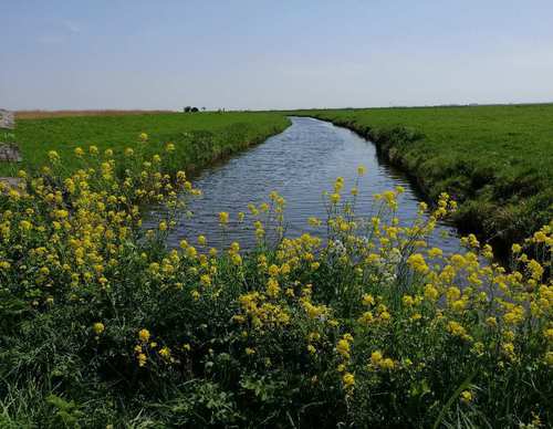 Gooiergrachtroute (SP theetuin Eemnes)