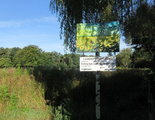 De Eng waar oude landbouwgewassen worden verbouwd