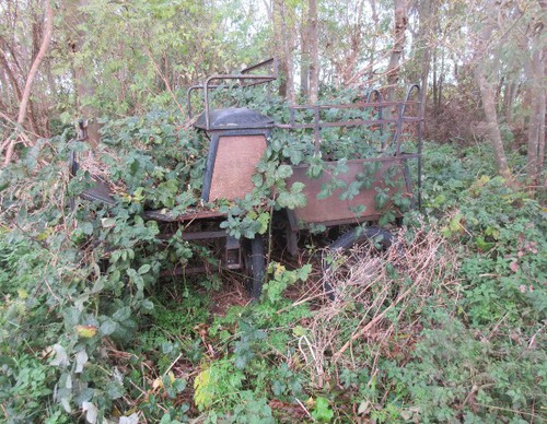 Onderweg passeren we deze volledig overgroeide boerenkar