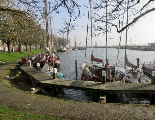 De Buitenhaven ligt zomers vol pleziervaartuigen