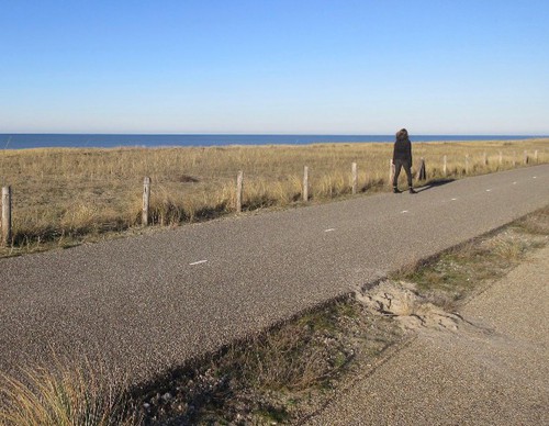 Het nieuwe duingebied dat de afgelopen jaren is ontstaan