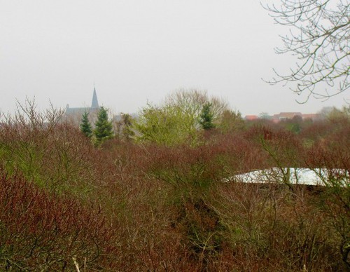 Het duingebied met aan de horizon de St Agnes-kerk