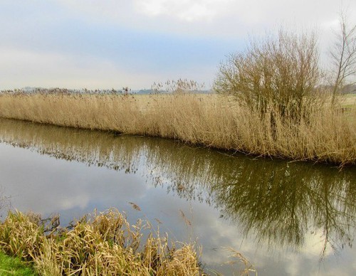 De polder is in de wintermaanden helemaal voor jezelf