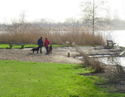 Honden en hun baasjes vinden het heerlijk in het park.