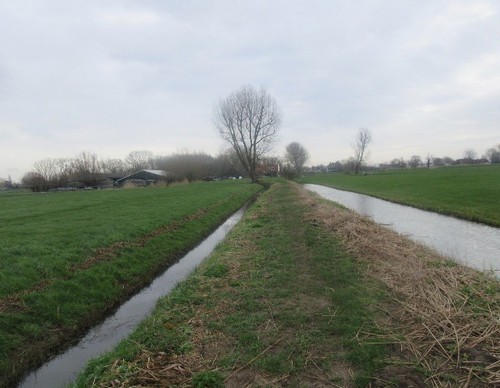 Ommetje april 2020 - grasduin