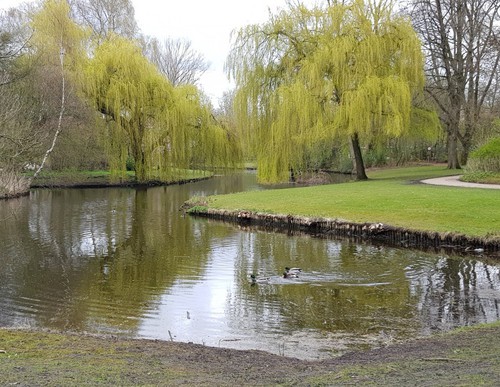 foto Zuidasronde_Beatrixpark