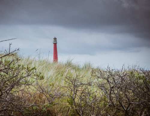 Lange Jaap vanuit het Duin - Ali Bakker