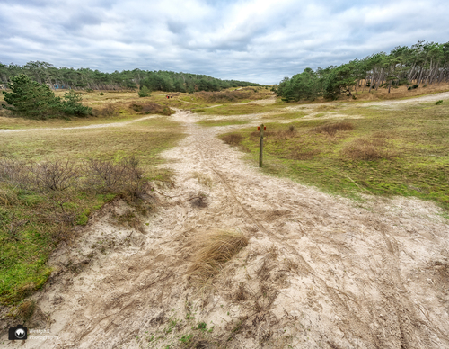 Wandeling door Sint Maartenszee