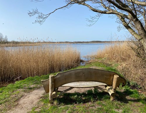 Wegdroombankje bij Naardermeer. Foto door Bert Peper
