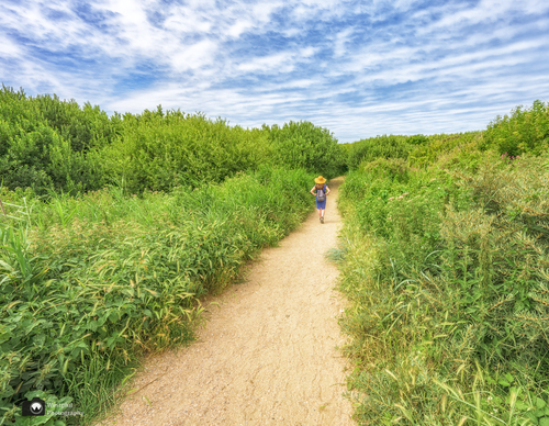 Duinen bij IJmuiden aan Zee - Westphil Photography