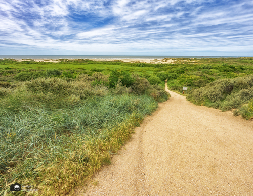 Uitzicht over duin richting strand - Westphil Photography