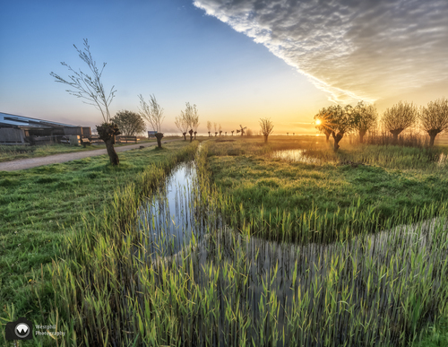 Zonsopkomst in de Schaalsmeerpolder