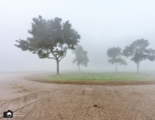 Ommetje van de maand oktober 2023 - Bomen in de mist // img_0955.jpeg (166 K)
