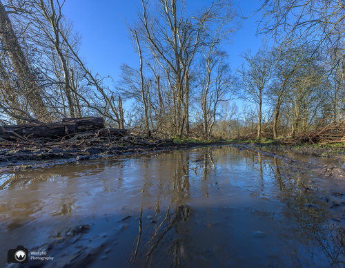 Een ondergelopen zandpad