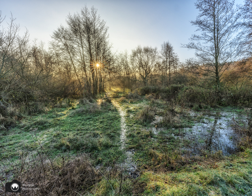 Drassig land met zonnetje