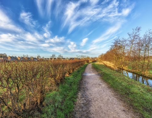 Onverhard pad langs beukenhaag