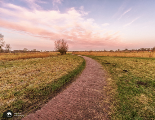 Molens in de verte onder een mooie lucht
