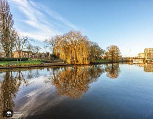 Groot water met brug in de verte en hoge bomen