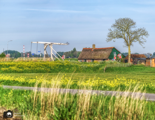 Bruggetje in de verte met een boerderij