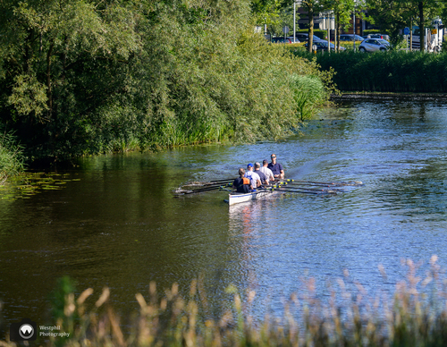 Roeiers op de gracht
