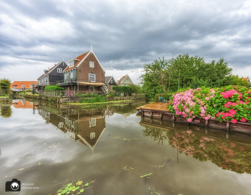 Hortensia’s aan het water