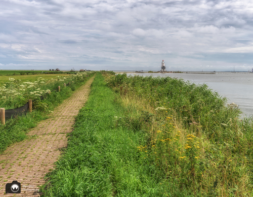 Paard van Marken in verte