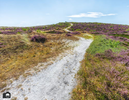 pad naar uitkijktoren