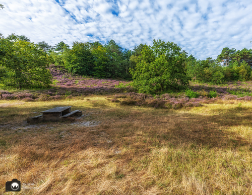 picknickbank in de heide