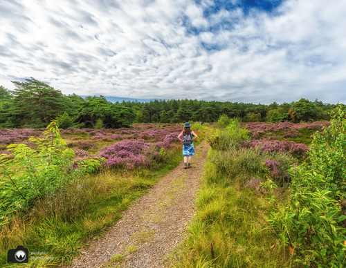 je ziet laura op de rug in een heideveld