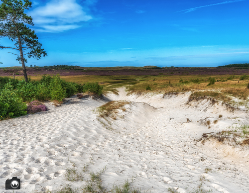 wit stuifzand met heide in de verte