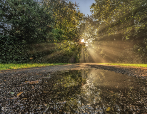 Waterplas op het wandelpad 