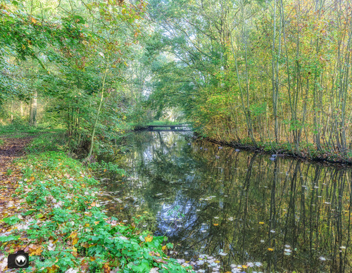 Paadje langs het water