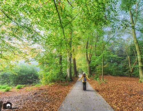 Laura op een laan in het bos