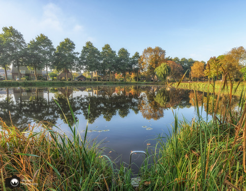 Vijver aan de rand van een woonwijk