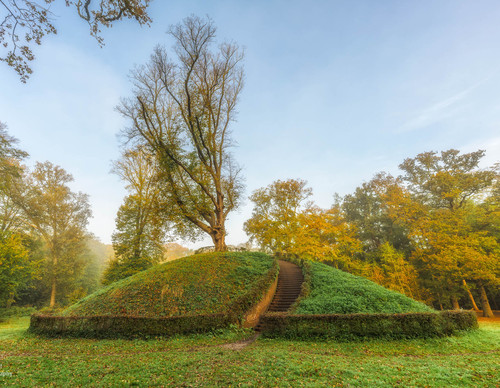Heuveltje met een grote boom