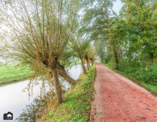 Fietspad met knotwilgen