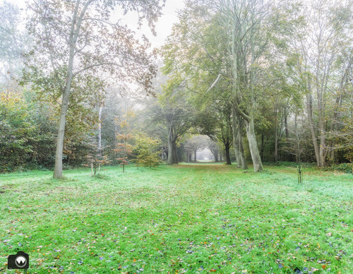 Bomen in de vorm van een laan en boog