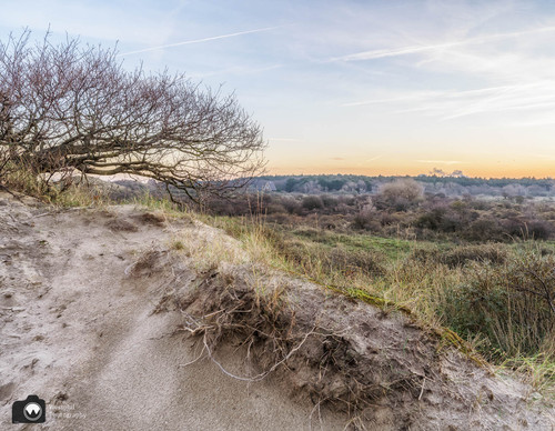 duinen met zonsopgang
