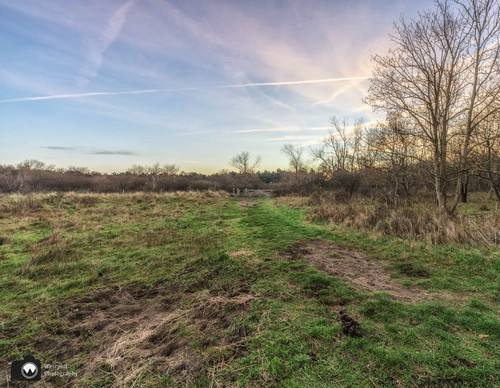 laura op de rug gezien met open armen in een duinpan