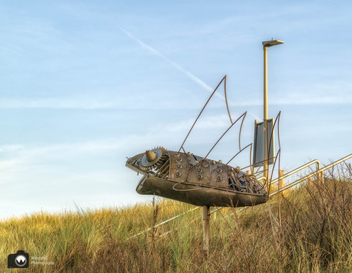 laura op de rug gezien met open armen in een duinpan